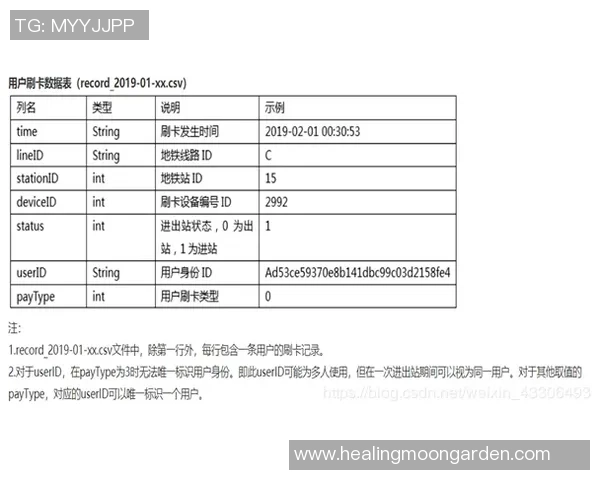 杭州篮球队力量表现数据分析揭示球队潜力与发展方向的深度研究