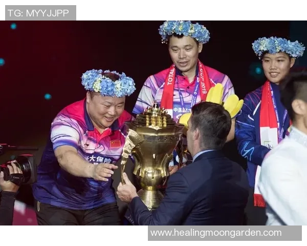 杭州羽毛球队战术解析：构建高效控制体系的成功之道