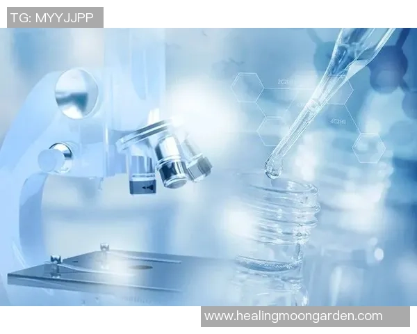 深圳排球队快攻革新之路探索与发展全景分析