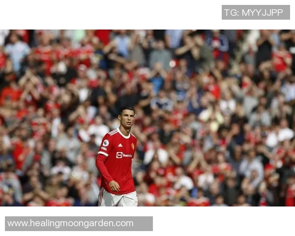 澳洲足球明星的辉煌历程与成就解析,谁才是最闪耀的那颗星 澳洲足球明星的辉煌历程与成就解析,谁才是最闪耀的那颗星