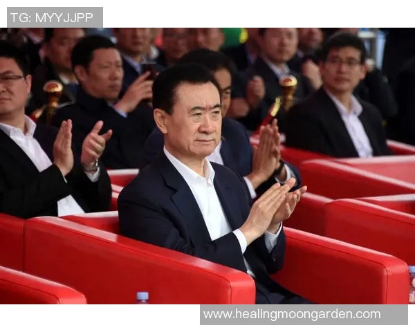 王健林投资的大连足球明星背后的故事与成就揭秘 王健林投资的大连足球明星背后的故事与成就揭秘