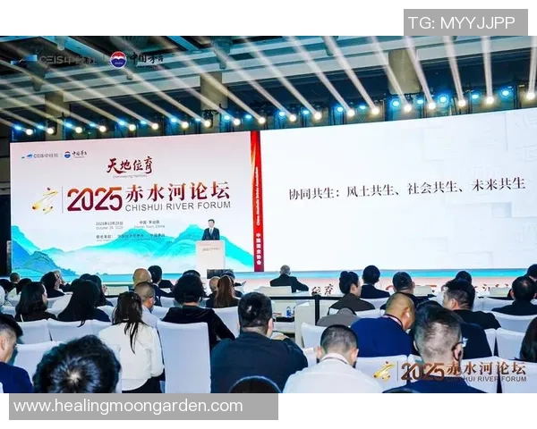 羽毛球女将刘娜的奋斗历程与职业生涯深度对话 羽毛球女将刘娜的奋斗历程与职业生涯深度对话