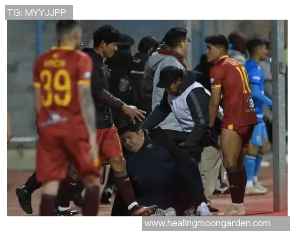 足球明星意外受伤睾丸破裂背后的故事与挑战