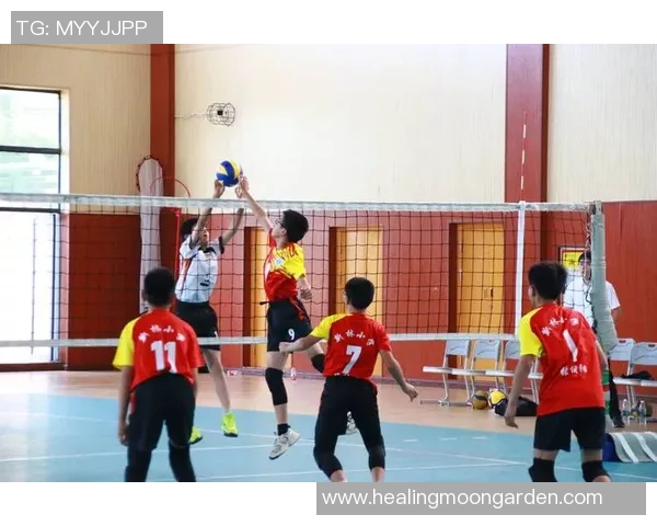 重庆排球队个人能力分析与表现评估的深入研究与探讨