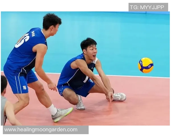 排球深度:解密重庆排球队的盯防 排球深度:解密重庆排球队的盯防