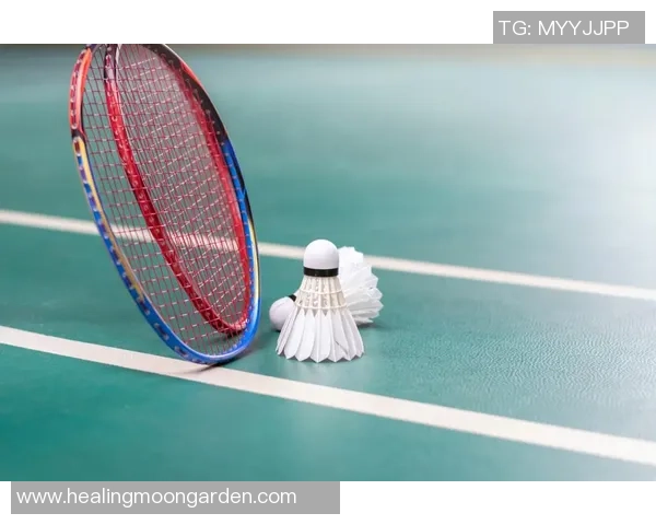 羽毛球巨献：探秘成都羽毛球队的速度