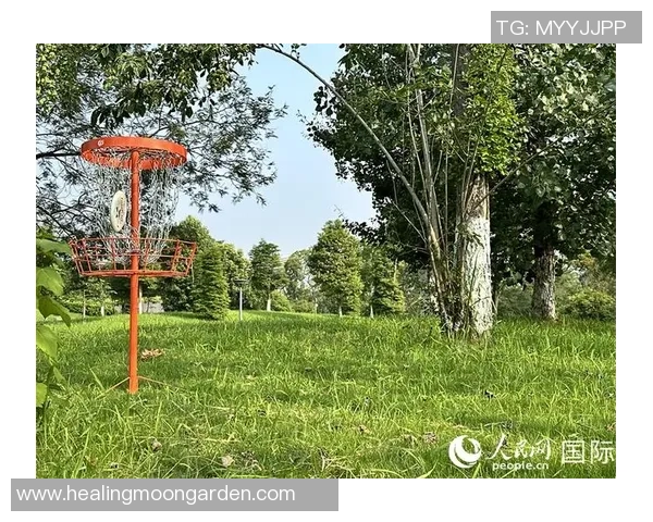 飞盘专题：聚焦成都飞盘队的技术