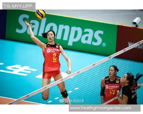 权威发布：排球比赛经验实力榜单