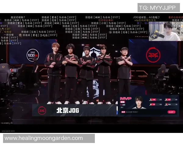 王者荣耀巨献：探秘JDG的灵活性