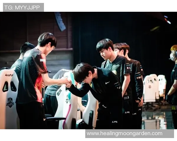 英雄联盟专题：聚焦RNG的实力