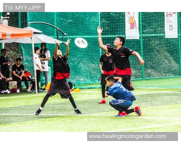 赛后复盘：南京飞盘队 vs 北京飞盘队的团队协作