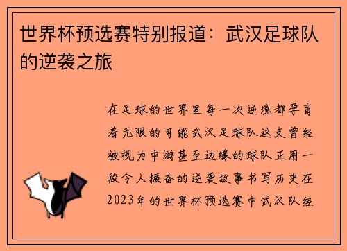 世界杯预选赛特别报道:武汉足球队的逆袭之旅